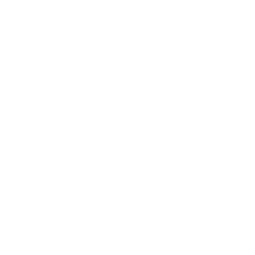 SSR Project